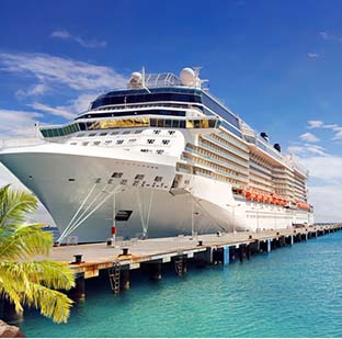 Cruise Bookings